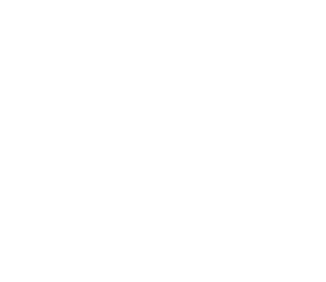 CHAMPAGNE DRIANT VALENTIN